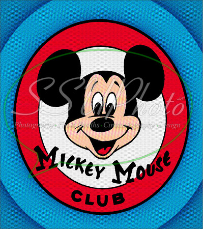 MickeyandFriends20