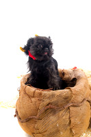 winnie00018