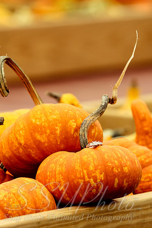 0148fallphotos2013