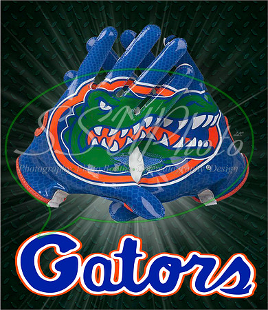 Gators07