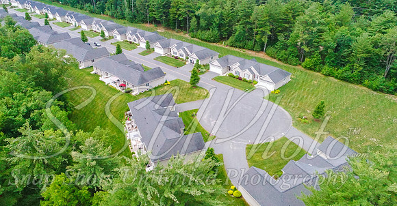 100tallpines00078