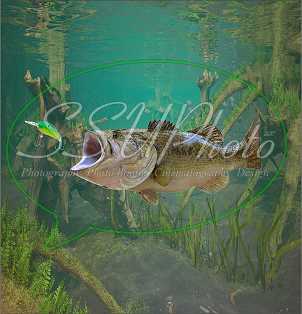 3d Fishing1