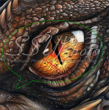 DragonEyes27