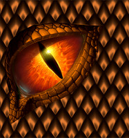 Dragon eye19