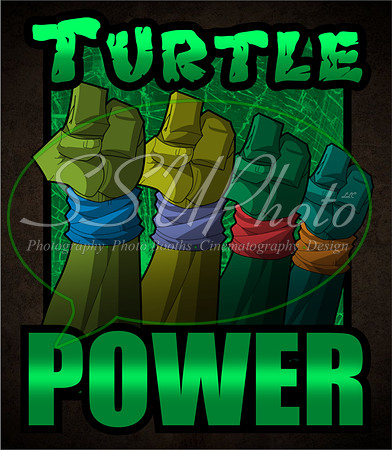 TMNT212