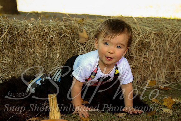 0096Owen1