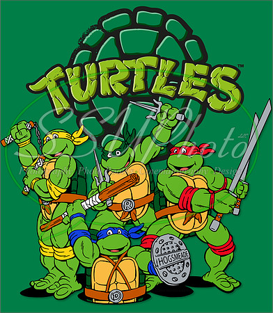 TMNT28