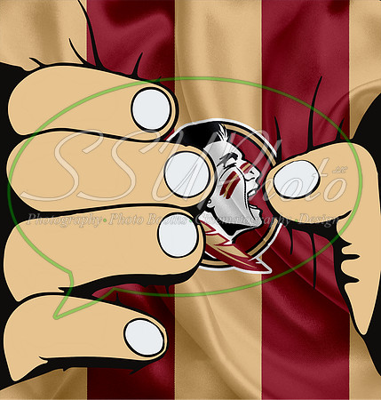 FSU9