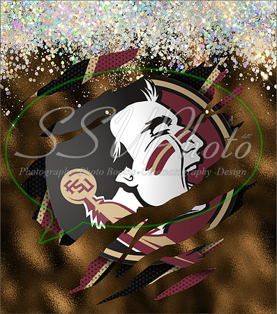 FSU15