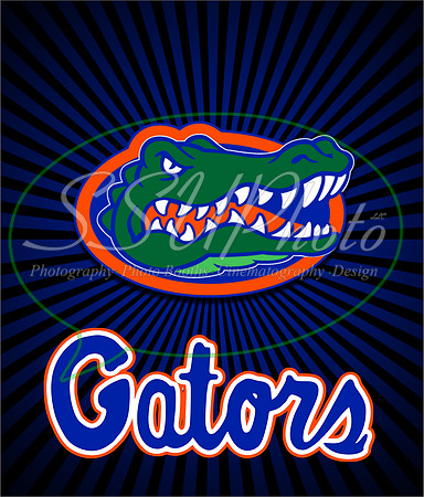 Gators17