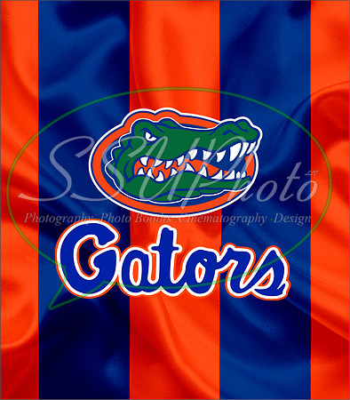 Gators06