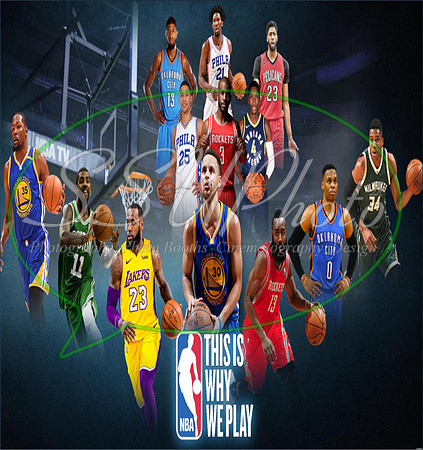 Basketball Ledgends16