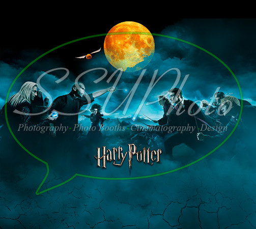 Potter1