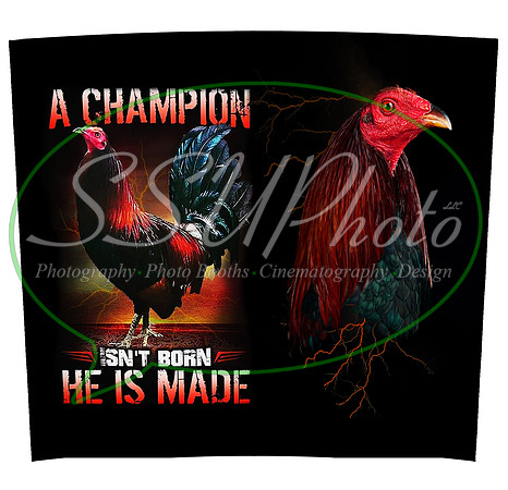 ChampionRoosterTAP