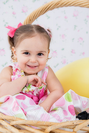 jeneaster201400008