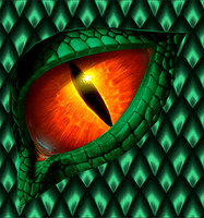 Dragon eye113