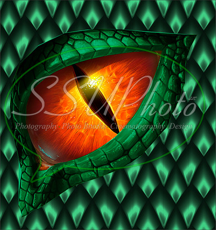 Dragon eye113