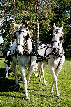 0252ceremony