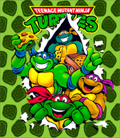 TMNT211