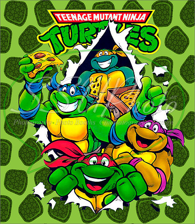 TMNT211