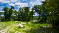 TheRanch00120