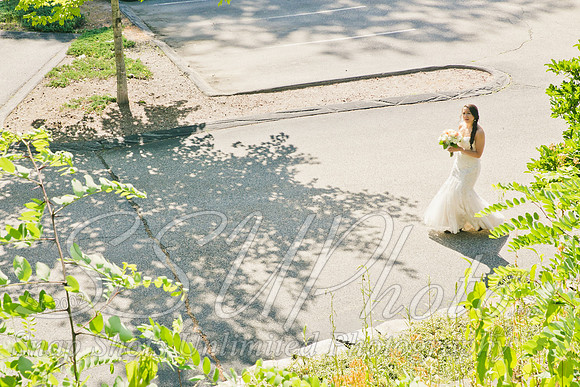 0273firstlook