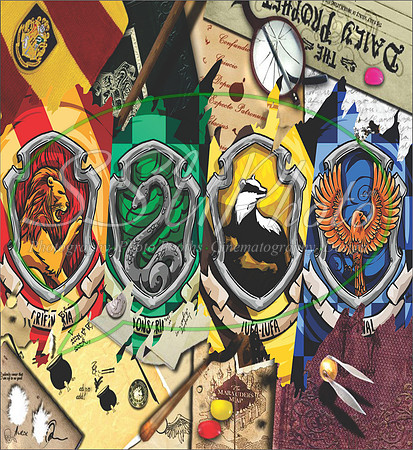 HarryPPatterns13