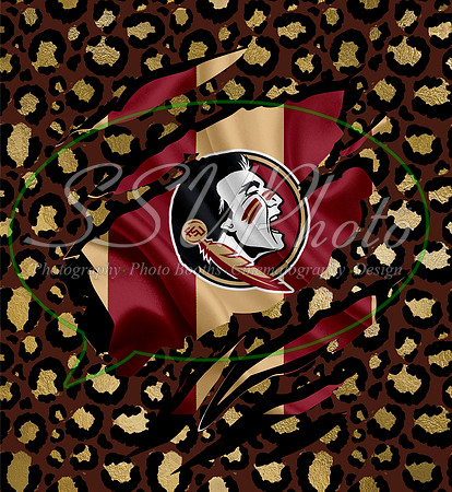 FSU20