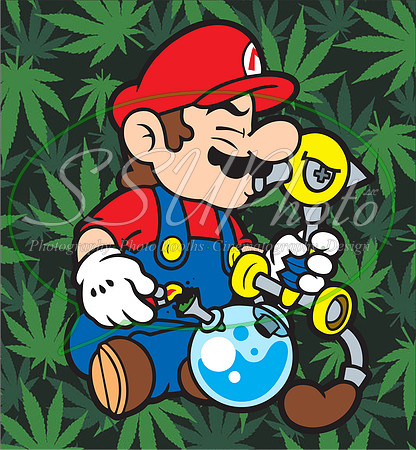 4202