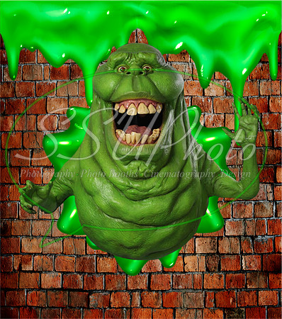 Ghostbusterscool1