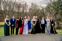 Willow JR Prom