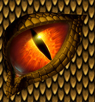 Dragon eye15