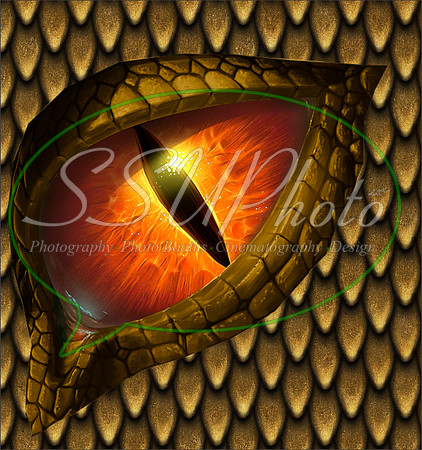 Dragon eye15
