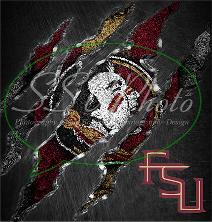 FSU12