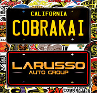 CobraKaiMixed24