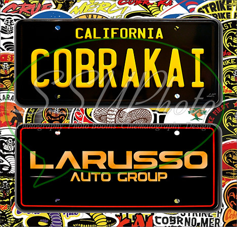 CobraKaiMixed24