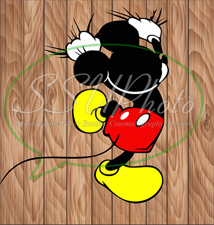 MickeyFunny3