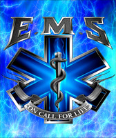 EMS8