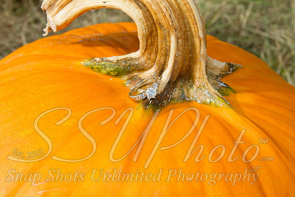 0189engagment