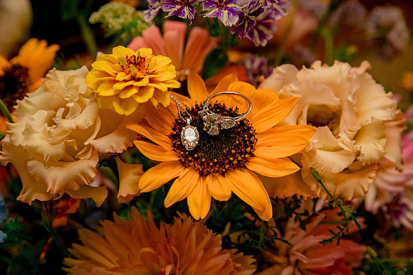 Gettingready8-24-111