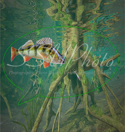 3d Fishing11