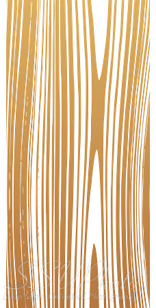 Transparent_Wooden_Effect_PNG_Clipart