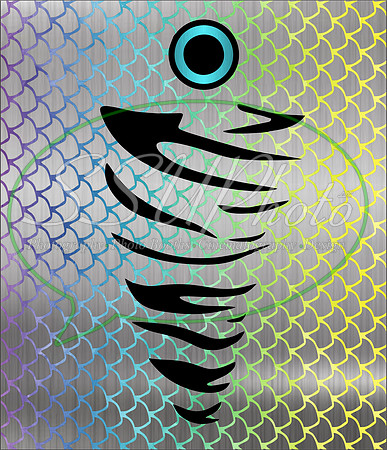 FishingBaits12