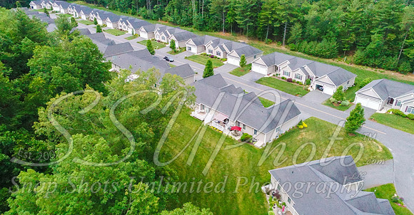 100tallpines00080