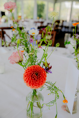 reception-7