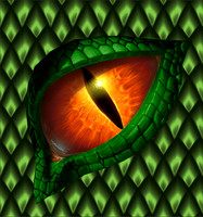 Dragon eye13