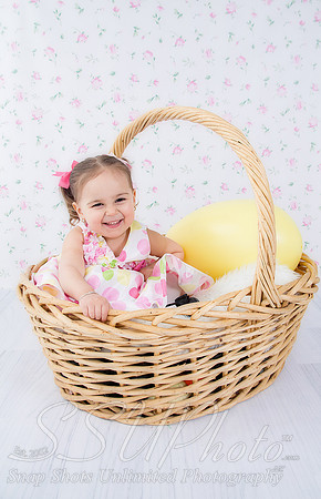jeneaster201400006