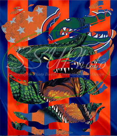 Gators14