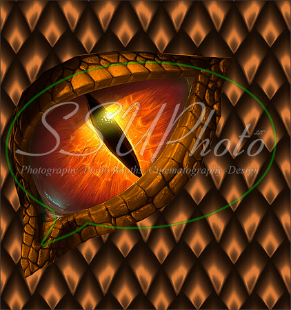 Dragon Eyes9