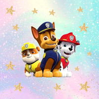 paw patrol77
